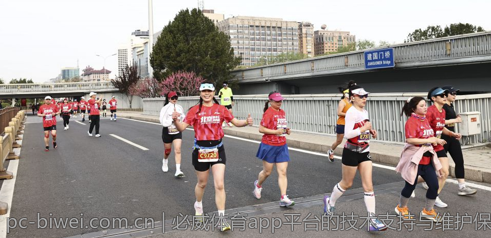 必威体育app平台的技术支持与维护保障